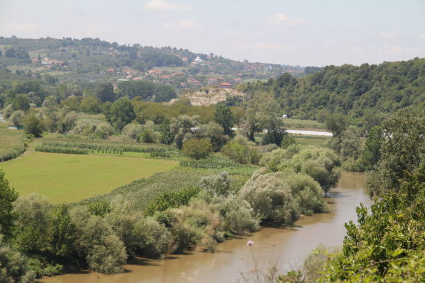 istock Horse cows grazing by the river 1171798019