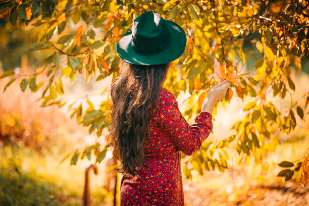 Autumn, Forest, Woodland, Hiking, Public Park
