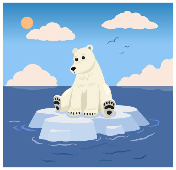 ilustraciones, imágenes clip art, dibujos animados e iconos de stock de oso polar - animal planet sea life