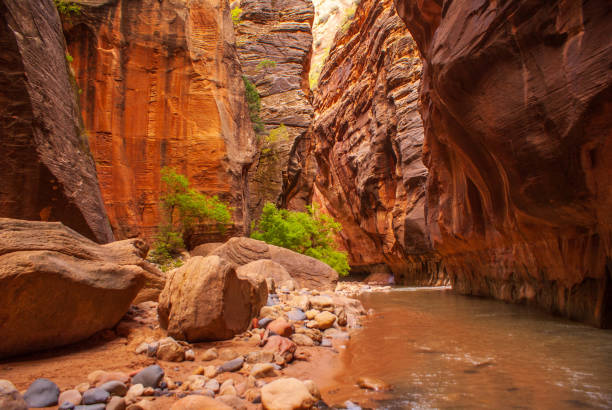 istock Boulders in the Virgin Narrows 1171802743