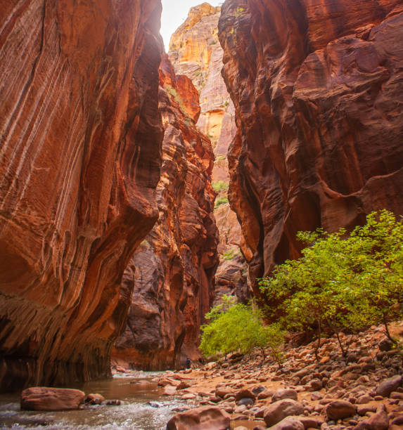 istock Light in the Virgin Narrows 1171802750