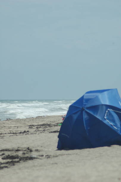 istock Shelter from the Florida Sun 1171805336