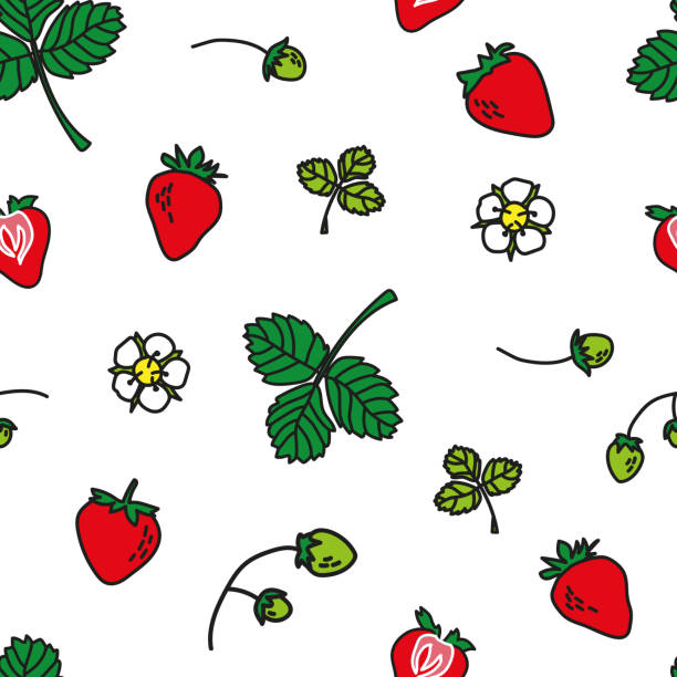 Vector strawberry seamless pattern Vector strawberry seamless pattern in white. Simple doodle fruit hand drawn made into repeat. Great for background, wallpaper, wrapping paper, packaging, fashion. all over pattern stock illustrations
