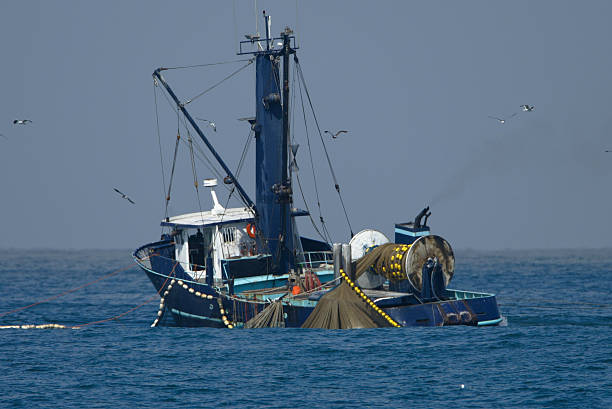 istock Fishing Boat at Sea 117181179