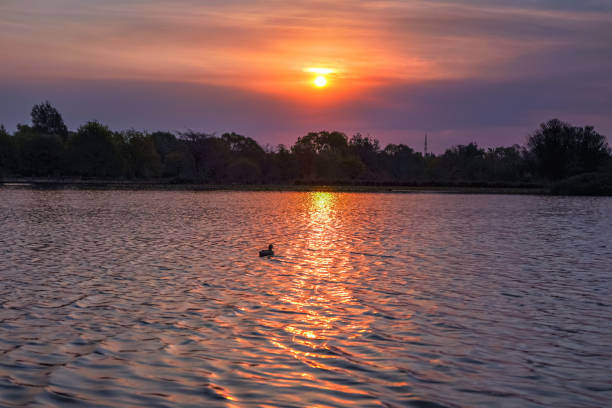 istock Sunset over a lake with colorful sky ducks and birds 1171811936