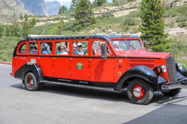 bus rouge de tour dans le parc national de glacier - us glacier national park montana bus park photos et images de collection