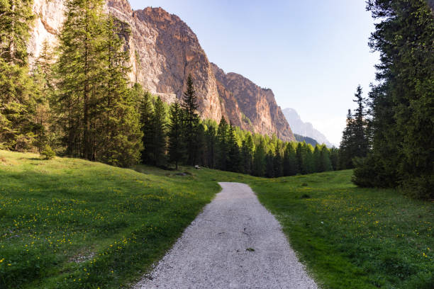 istock Path through Val Longia in the Dolomites 1171816066