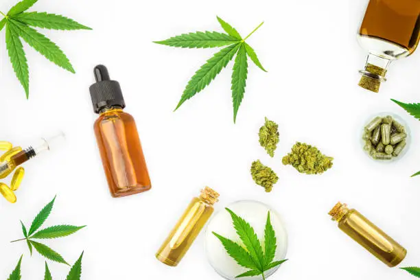 Various Cannabis products, CBD THC oils, pills, paste, gel lotion flower buds isolated on white