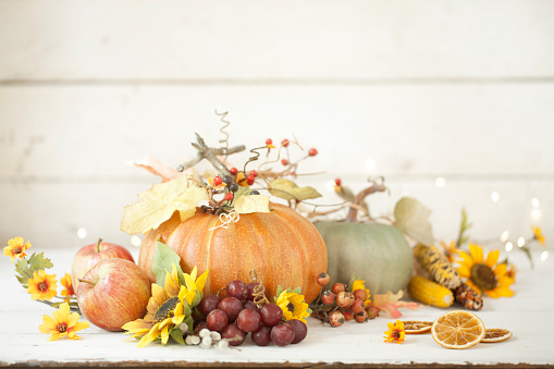 Autumn pumpkins, gourds and holiday decor arranged against an old white wood background. Very shallow depth of field for effect with plenty of copy