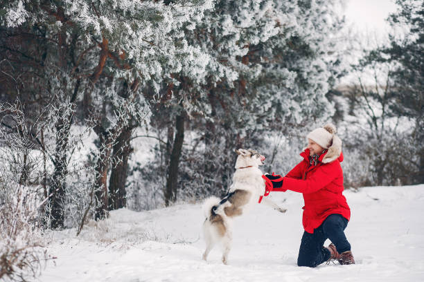 istock Beautiful woman playing with a dog 1171818024