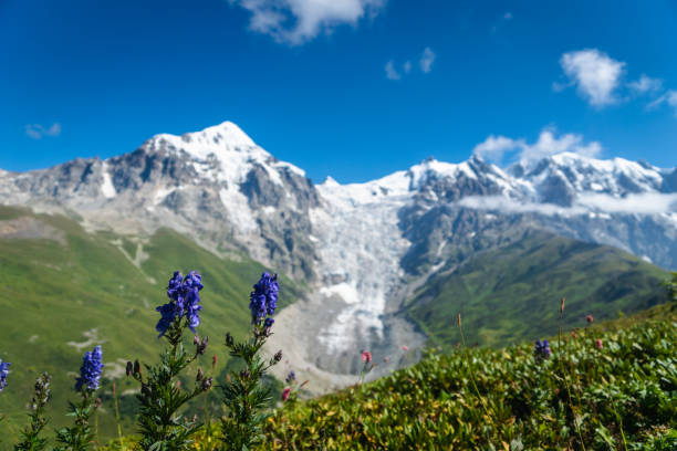 istock Svaneti landscape with glacier and snow-capped mountain in the back 1171822768