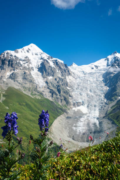 istock Svaneti landscape with glacier and snow-capped mountain in the back 1171822809