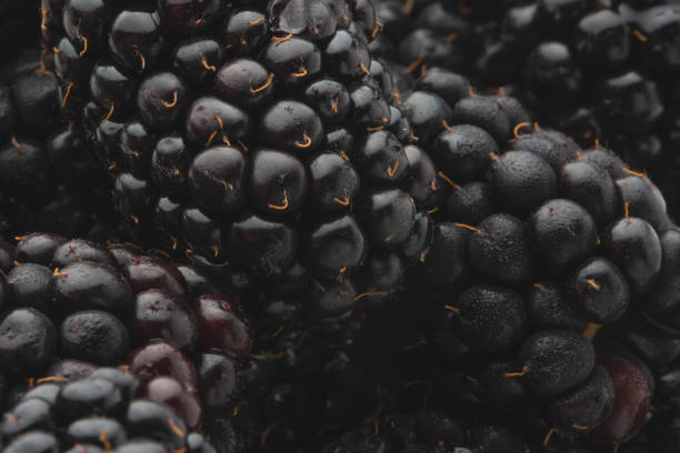 istock texture with blackberry closeup, background of berries, horizontal frame 1171827796