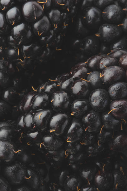 istock texture with blackberry closeup, background of berries, vertical frame 1171828070