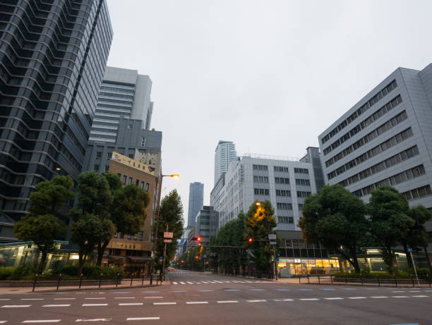 istock Early morning cityscape 1171828919