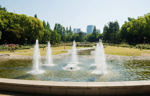 istock Rose garden in Utsubo Park 1171829176