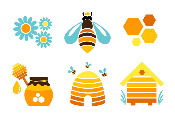 ikony miodu. elementy projektu wektorowego. królowa pszczoła, plaster miodu, ul, kwiaty i słoik miodu. - queen bee stock illustrations