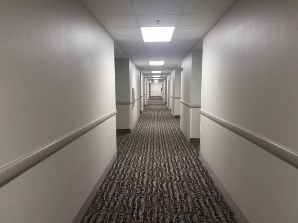 istock long hotel hall with brown carpet and white walls 1171835036
