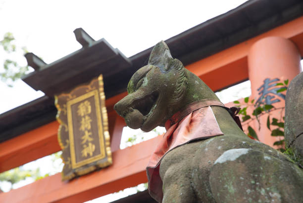 Kyoto, Japan-June 22, 2019: \nFushimi Inari-taisha is the head shrine of the kami Inari, located in Fushimi-ku, Kyoto, Kyoto Prefecture, Japan. Red torii gates and fox statues are a feature of the Shrine. Over 5,000 red torii gates looks like a tunnel.
