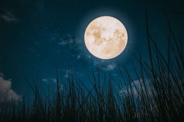 istock wild grass in fall season and full moon with star. 1171835939