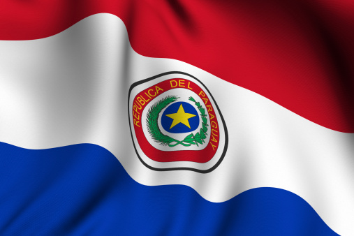 Rendering of a waving flag of Paraguay with accurate colors and design and a fabric texture.