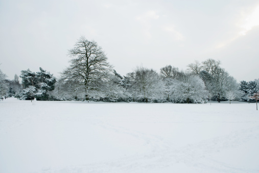 Idyllic wintry scenery in the park after a heavy snowfall.