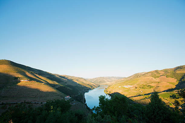 ドゥロ川、ポルトガル - douro valley clear sky copy space nobody ストックフォトと画像