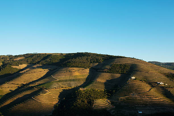 долина дуэро, португалия - douro valley clear sky copy space nobody стоковые фото и изображения