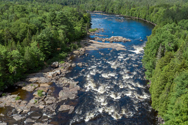 vue aérienne de la forêt et de la rivière de la nature boréale en été - landscape canada north america freshwater fish photos et images de collection
