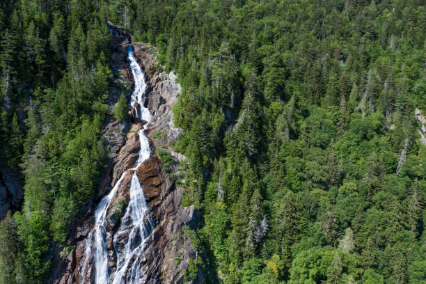 vue aérienne de la forêt de nature boréale et de la chute d'eau en été - landscape canada north america freshwater fish photos et images de collection