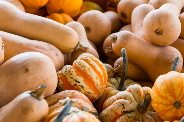 Variety of Squash in Market stock photo