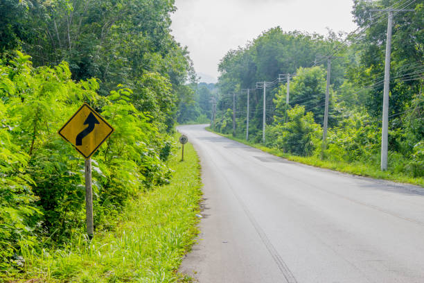 istock asphalt road up to the hill with green tree 1171849779