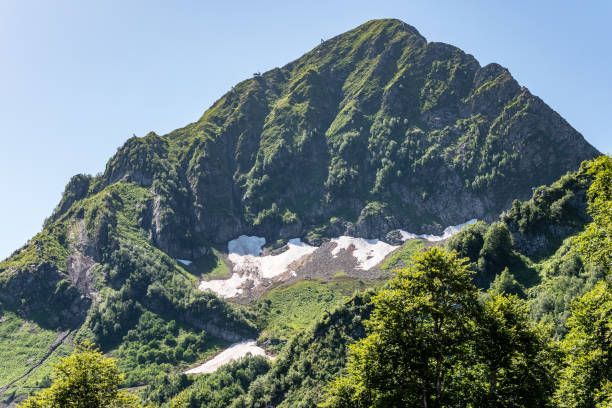 alta montagna verde con neve in cima nella limpida giornata estiva. - european alps cold mountain range clear sky foto e immagini stock