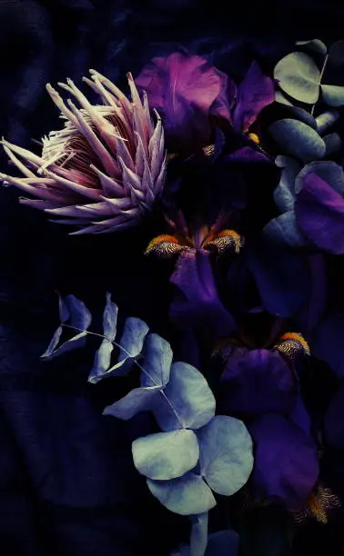 Photo of dark exotic flowers and leaves on a black background close up full frame. vintage toned. top view. low key style. interior poster