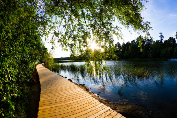 istock Wooden trail in park 1171856294