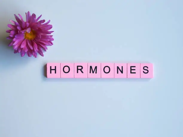 Hormones word wooden cubes on a white background.