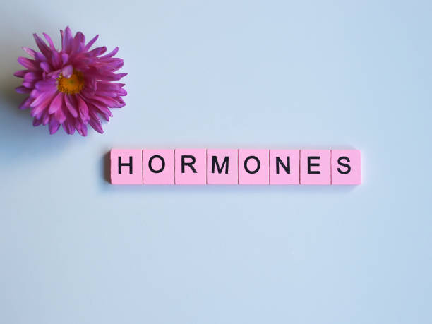 гормоны слово деревянные кубики на белом фоне - гормон стоковые фото и изображения