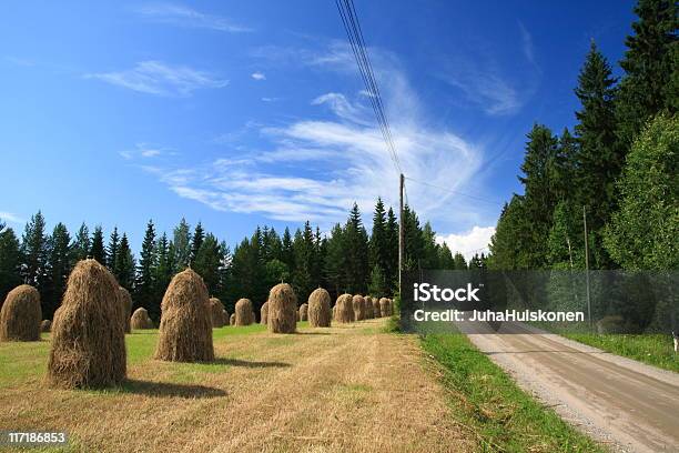 Wsi Droga - zdjęcia stockowe i więcej obrazów Finlandia - Finlandia, Lato, Rolnictwo