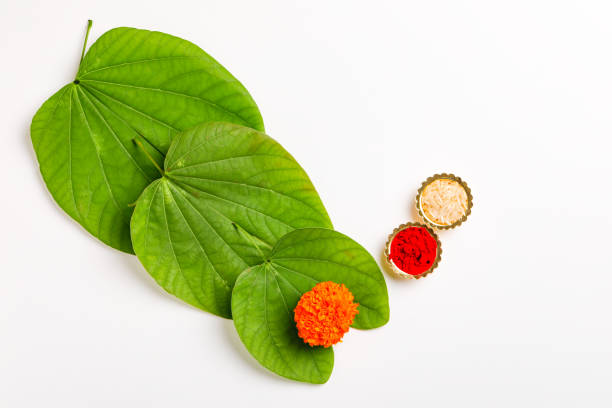 istock Happy Dussehra greeting card , green leaf and rice 1171869650