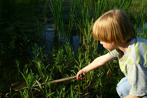 istock Boy catching tadpoles in a marsh with a net 117187020