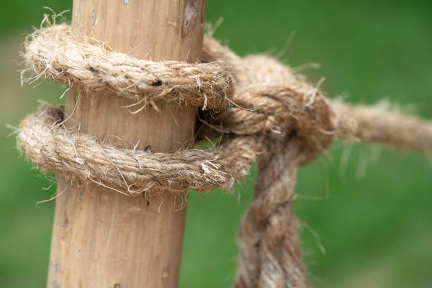 istock rope on bamboo for background and presentation or creeting cards 1171870273