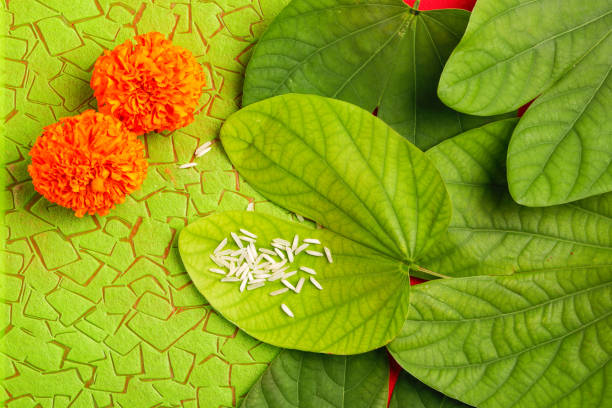 istock Happy Dussehra greeting card , green leaf and rice 1171870281