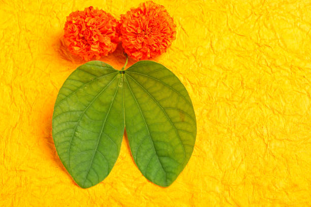 istock Happy Dussehra greeting card , green leaf and rice 1171870981