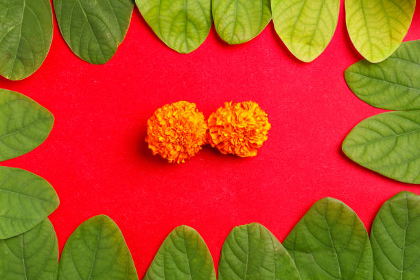istock Happy Dussehra greeting card , green leaf and rice 1171870986