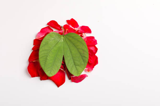 istock Indian Festival Dussehra, Green Leaf 1171871090