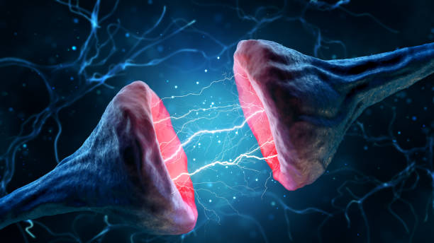 istock Illustration of synapse and neuron on a blue background. 1171871464