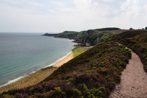 istock Scenic view of Cap Frehel area in Brittany 1171875472