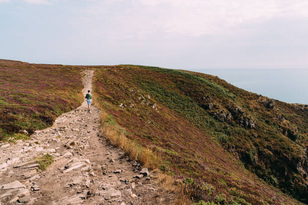 istock Scenic view of Cap Frehel area in Brittany 1171875493