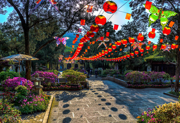 jardim chinês clássico na primavera - chinese spring festival - fotografias e filmes do acervo