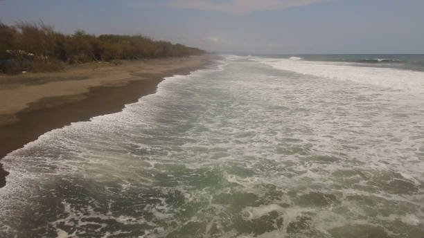 istock sandy beach near the ocean 1171880764